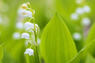 机甲动作游戏《装甲核心6》新截图公开